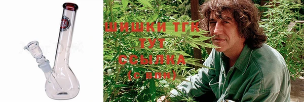 твердый Протвино