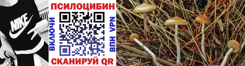 Галлюциногенные грибы прущие грибы Серафимович